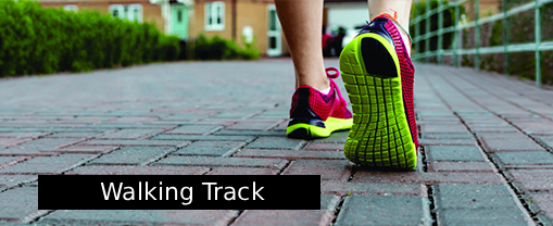 walking_trak
